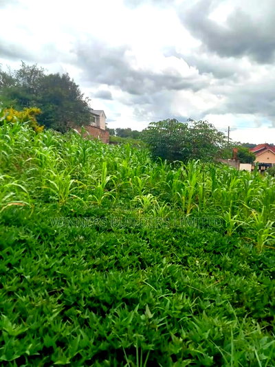 50 * 100 Plot for Sale at Ngoingwa - Image 9