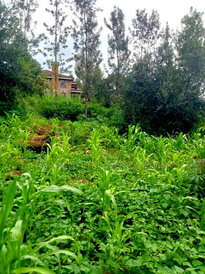 50 * 100 Plot for Sale at Ngoingwa - Image 8