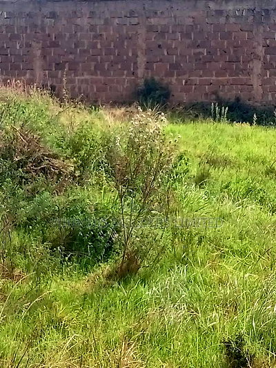 50 by 100 for Sale at Mwihoko Kizito - Image 6