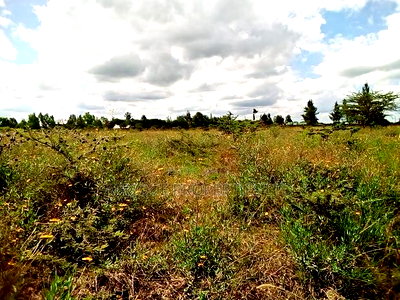 Rongai Prime 1 Acre Near Tuala for Sale - Image 3