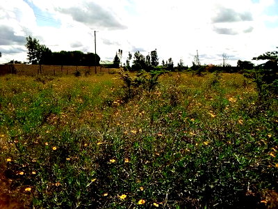 Rongai Prime 1 Acre Near Tuala for Sale - Image 2