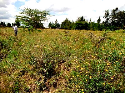 Rongai Prime 1 Acre Near Tuala for Sale - Image 5