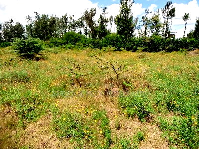 Rongai Prime 1 Acre Near Tuala for Sale - Image 4