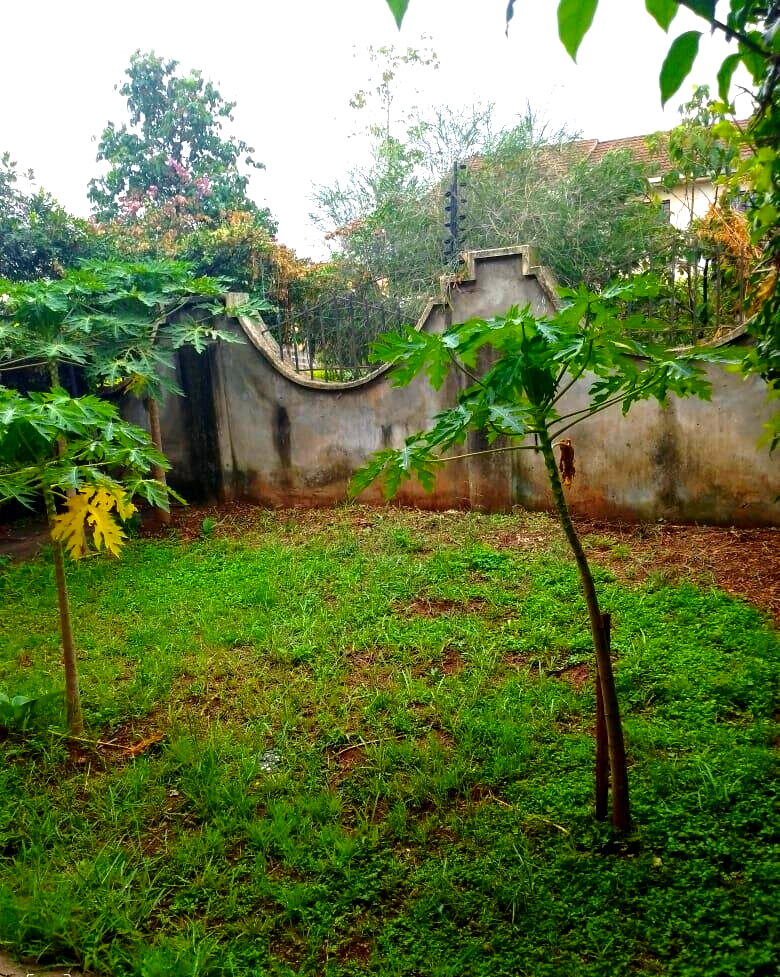 4BR Townhouse with Pool, Gym & Pet-Friendly Garden – Langata