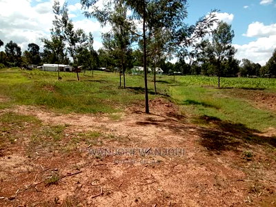 Prime 50x100 Plot - Image 2