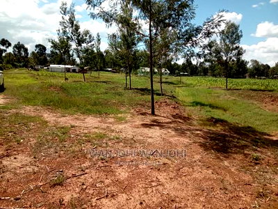 Prime 50x100 Plot - Image 1