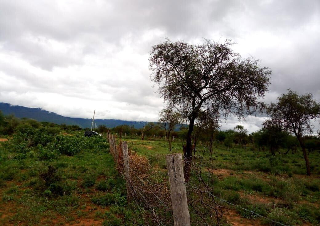 10-Acre Garden Plot with Parking - Kisaju
