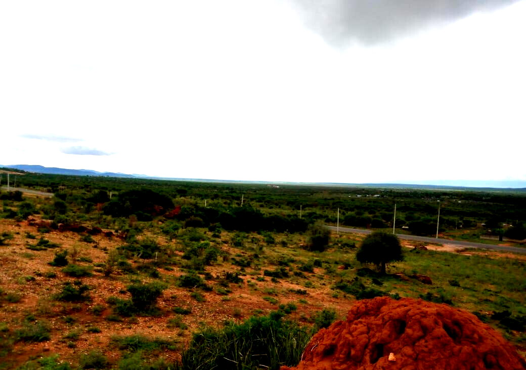 10-Acre Garden Plot with Parking - Kisaju