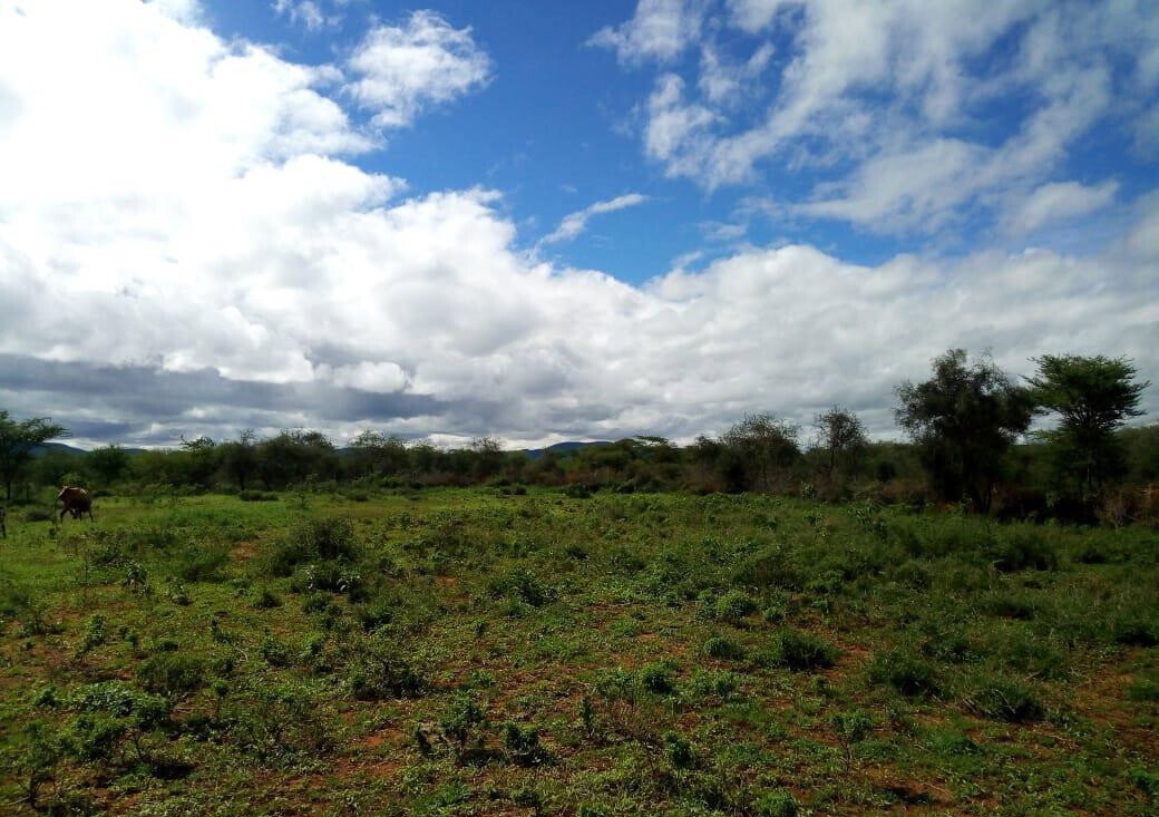 10-Acre Garden Plot with Parking - Kisaju