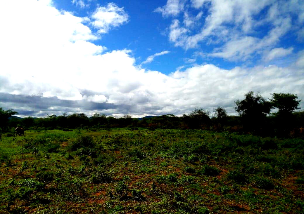 10-Acre Garden Plot with Parking - Kisaju