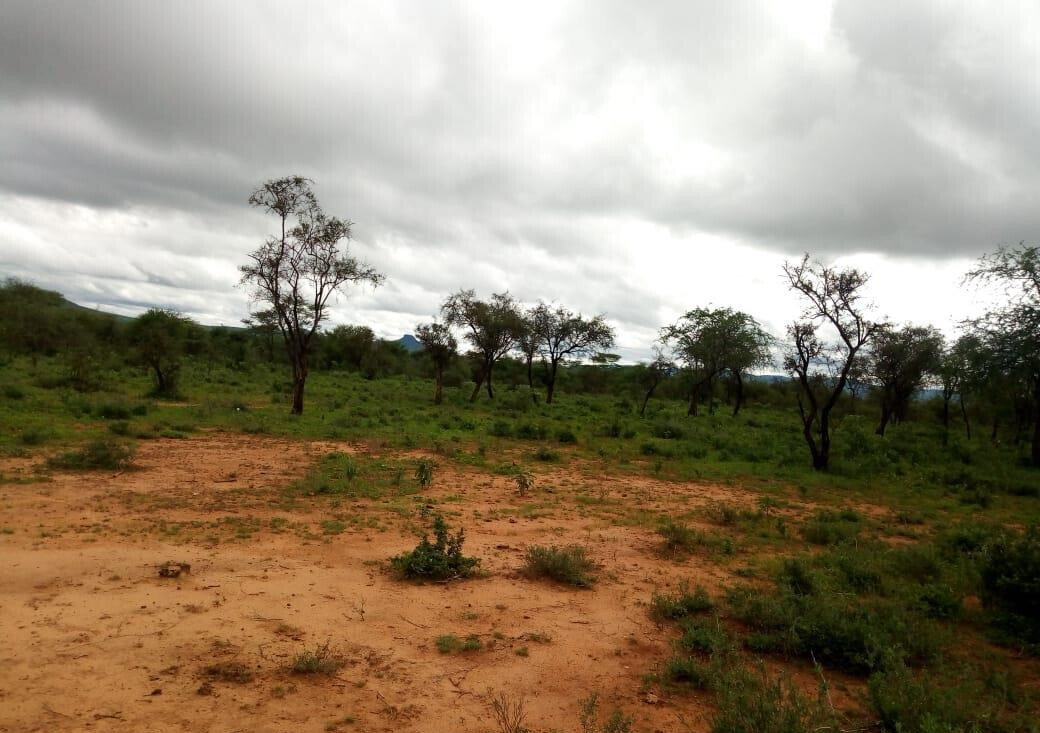 10-Acre Garden Plot with Parking - Kisaju