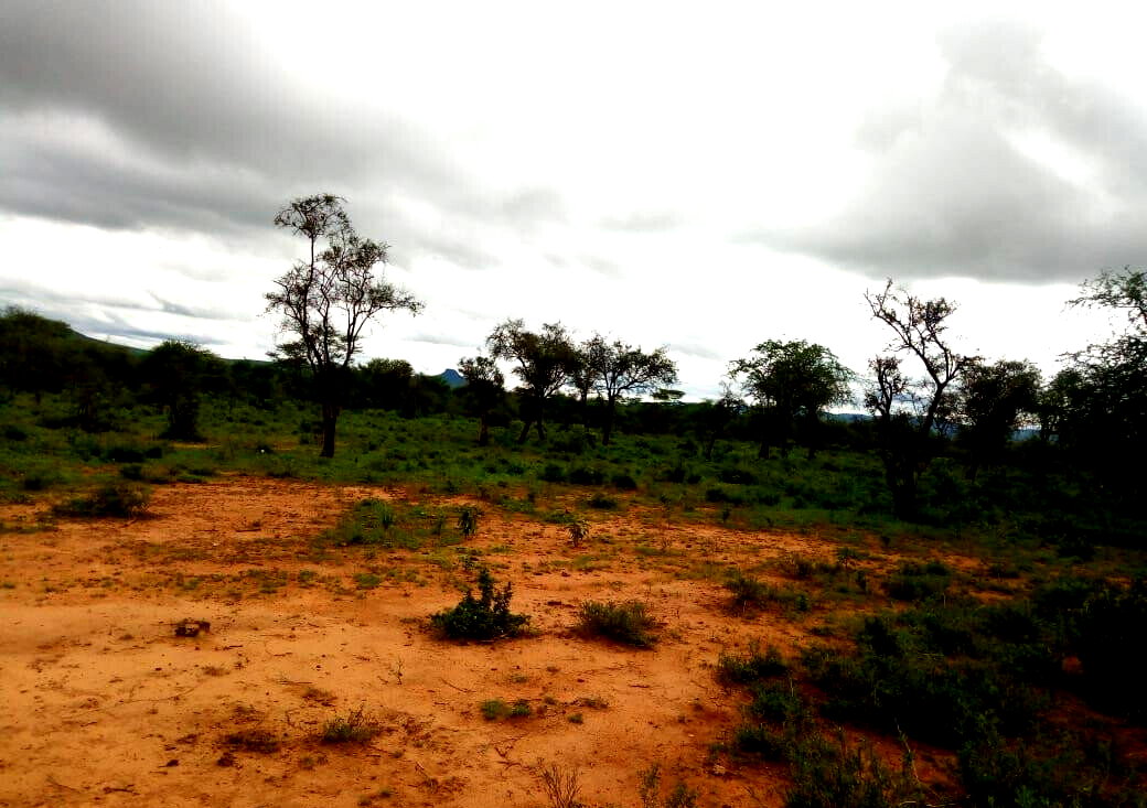 10-Acre Garden Plot with Parking - Kisaju