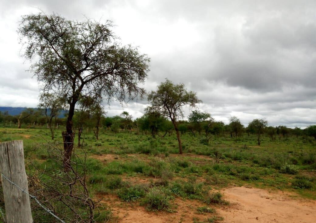 10-Acre Garden Plot with Parking - Kisaju