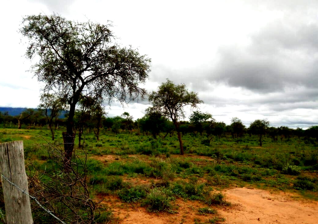 10-Acre Garden Plot with Parking - Kisaju