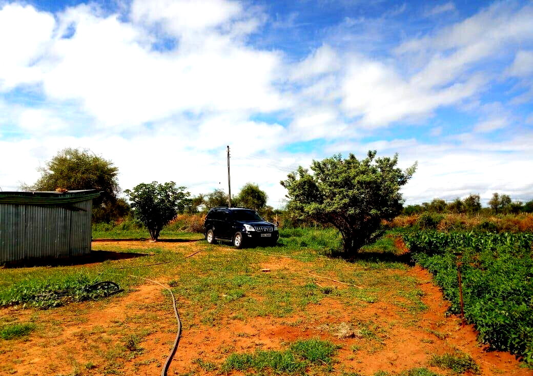 10-Acre Garden Plot with Parking - Kisaju