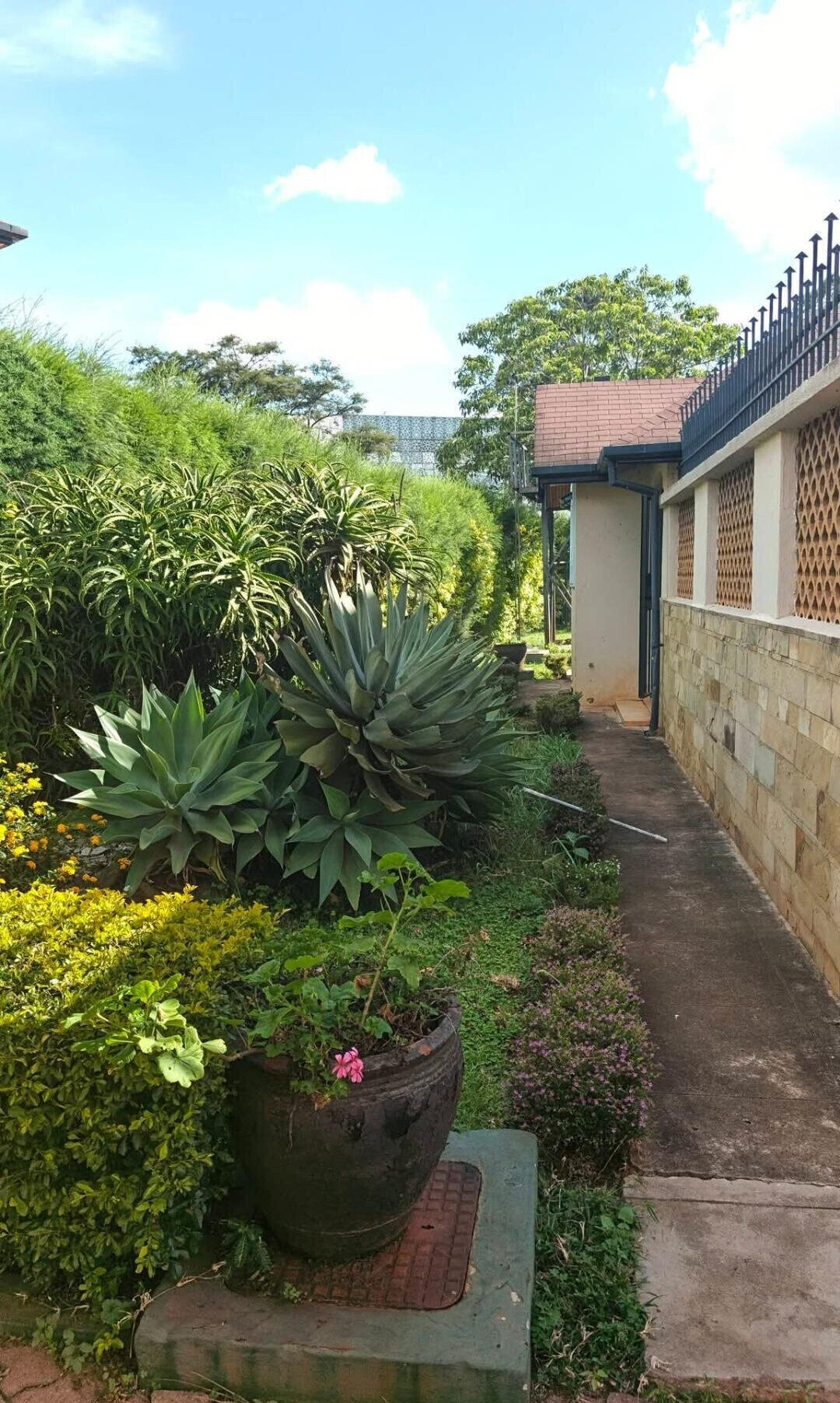 5BR Garden Oasis at KSh 350K