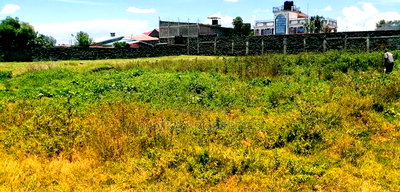 1/4 Acre for Sale Plot Near Mwariki Police Post - Image 1