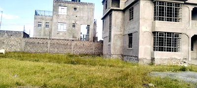 Prime Plot - Image 5