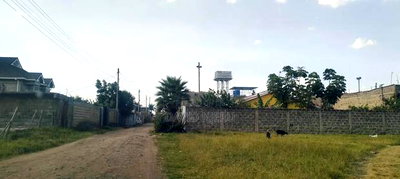 Prime Plot - Image 6