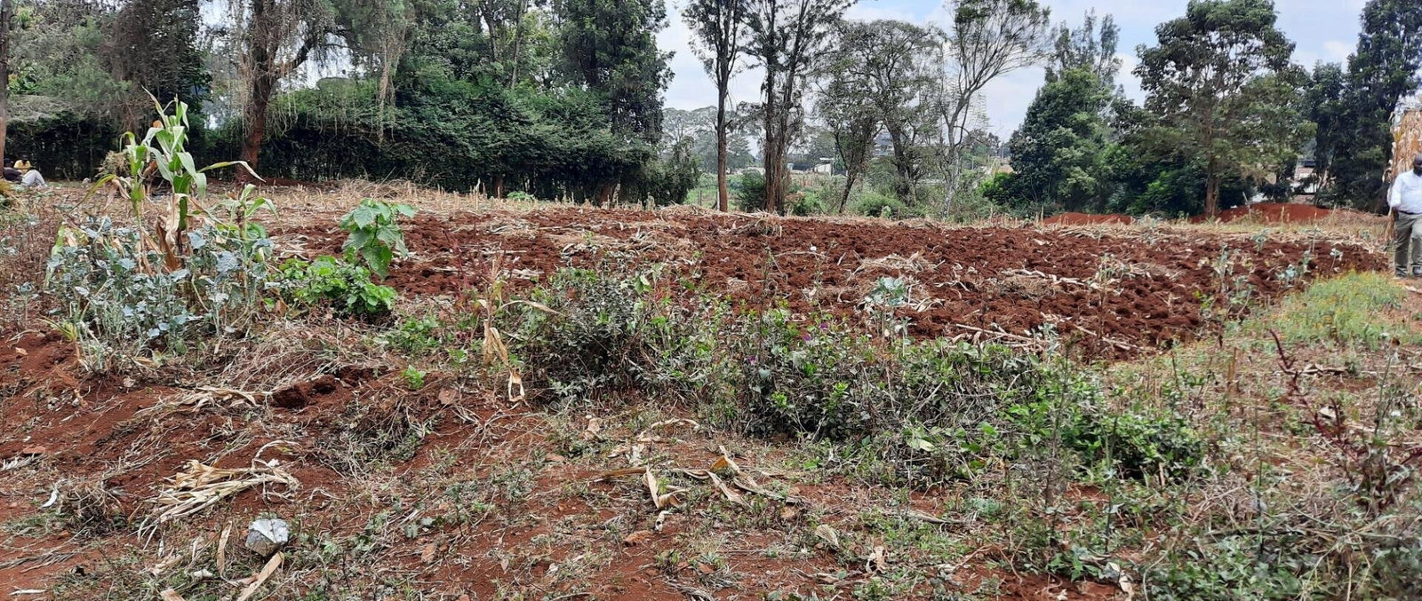 Half Acre Plot at KSh 35M