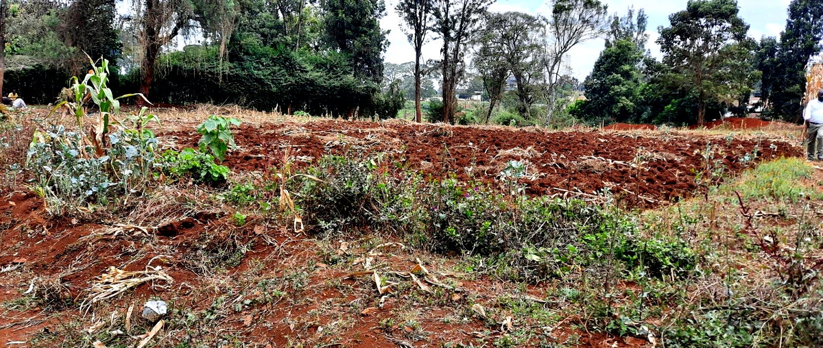 Half Acre Plot at KSh 35M