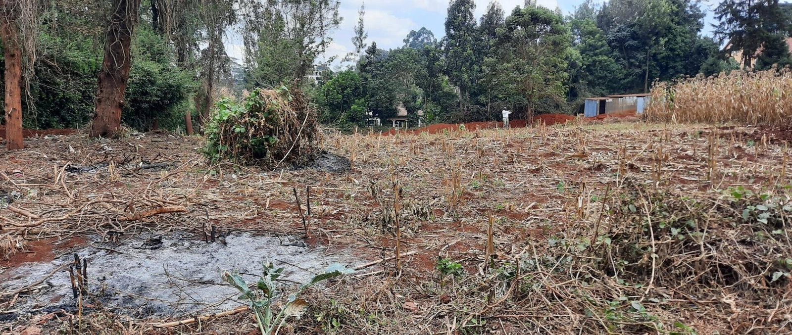 Half Acre Plot at KSh 35M