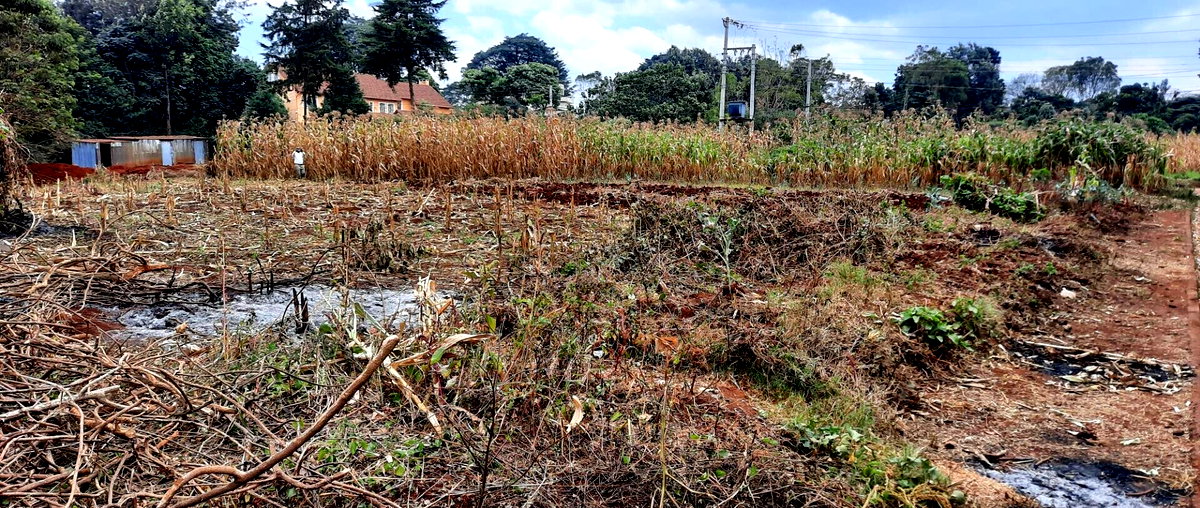 Half Acre Plot at KSh 35M