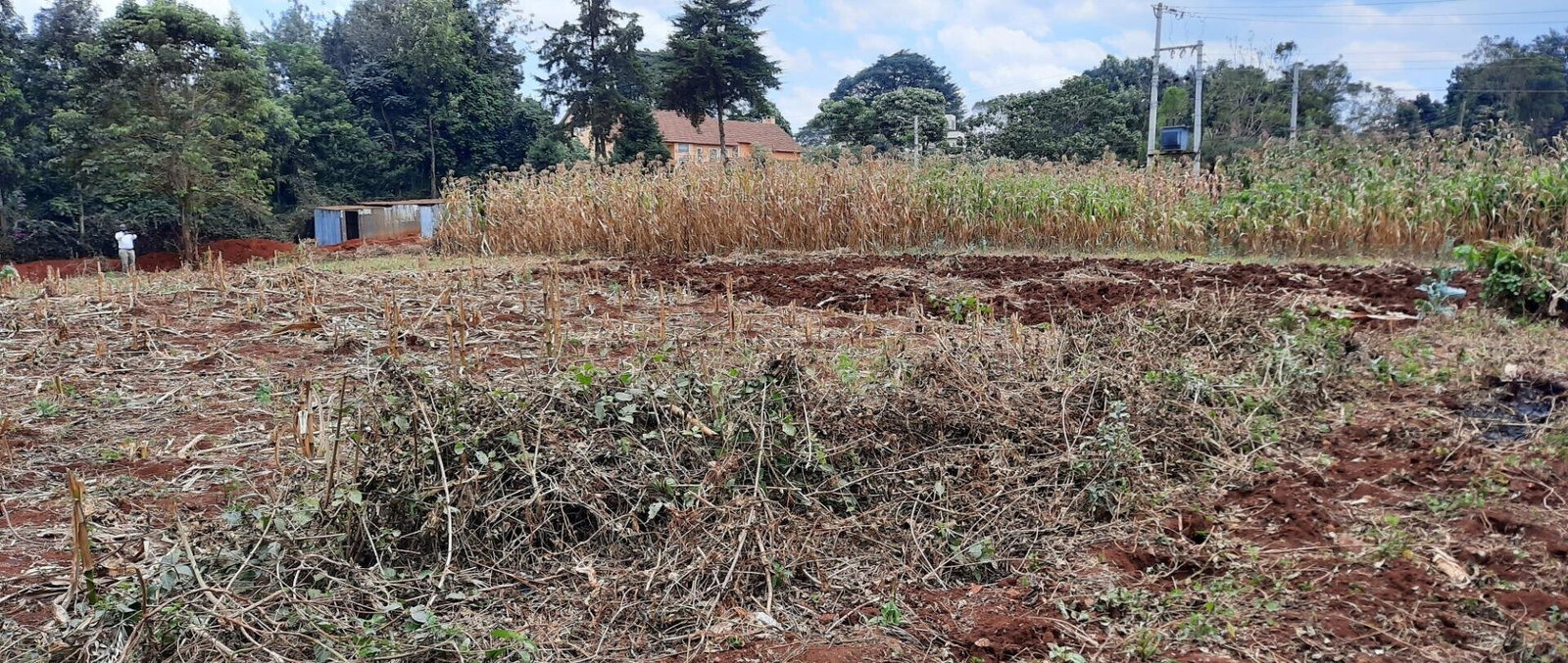 Half Acre Plot at KSh 35M