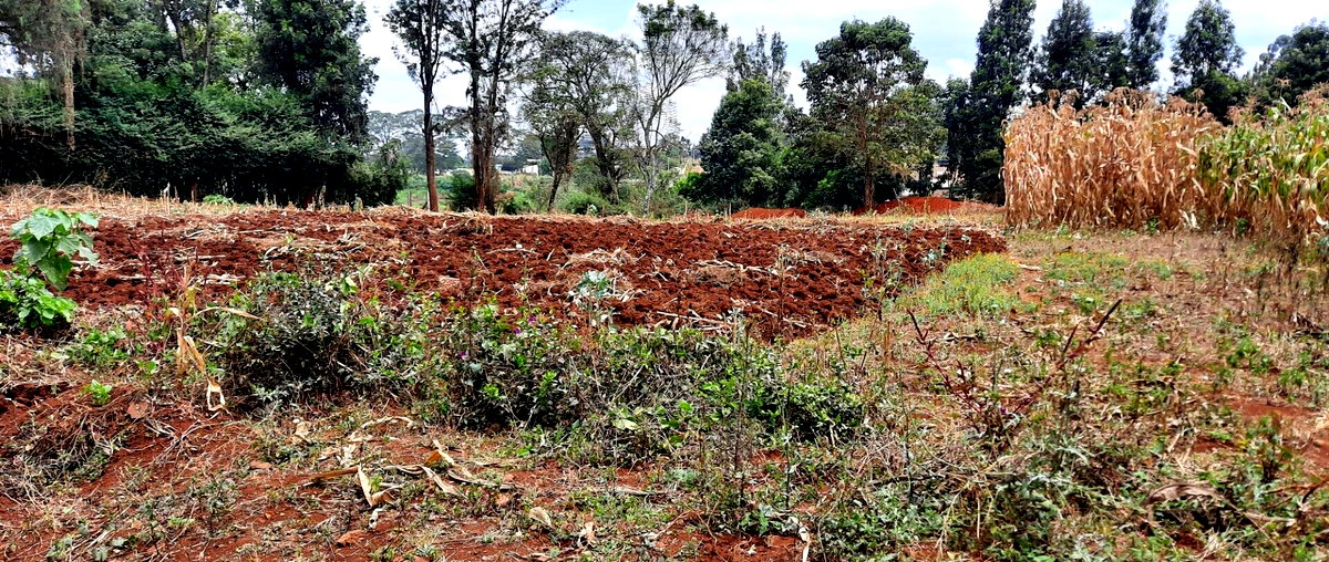 Half Acre Plot at KSh 35M