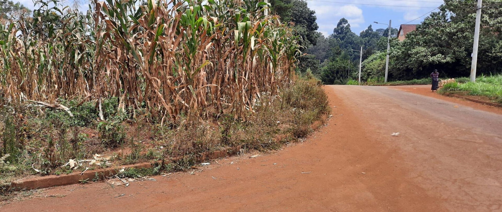 Half Acre Plot at KSh 35M