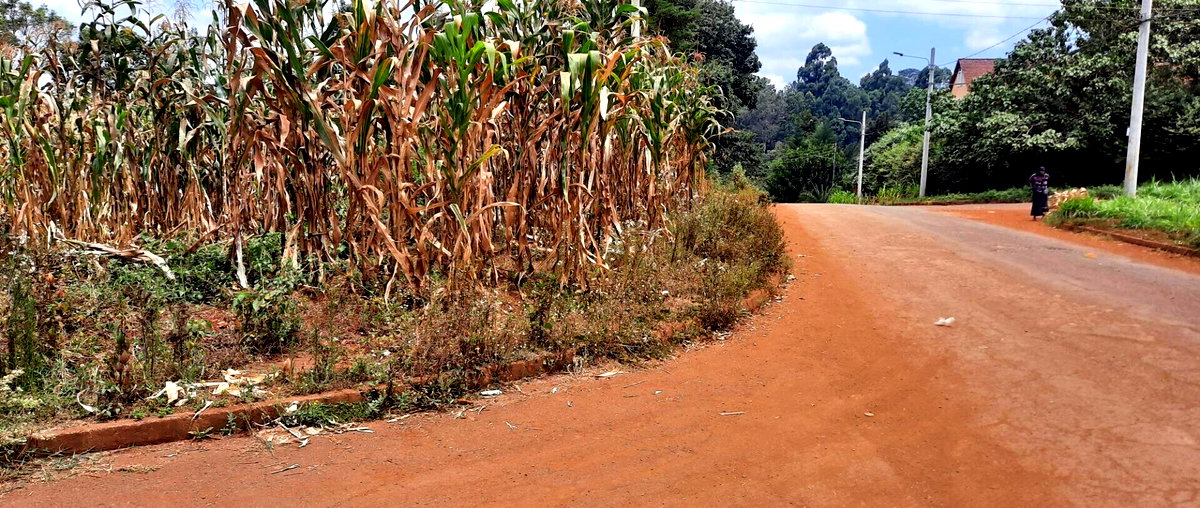 Half Acre Plot at KSh 35M