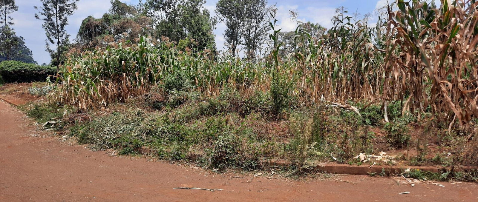 Half Acre Plot at KSh 35M