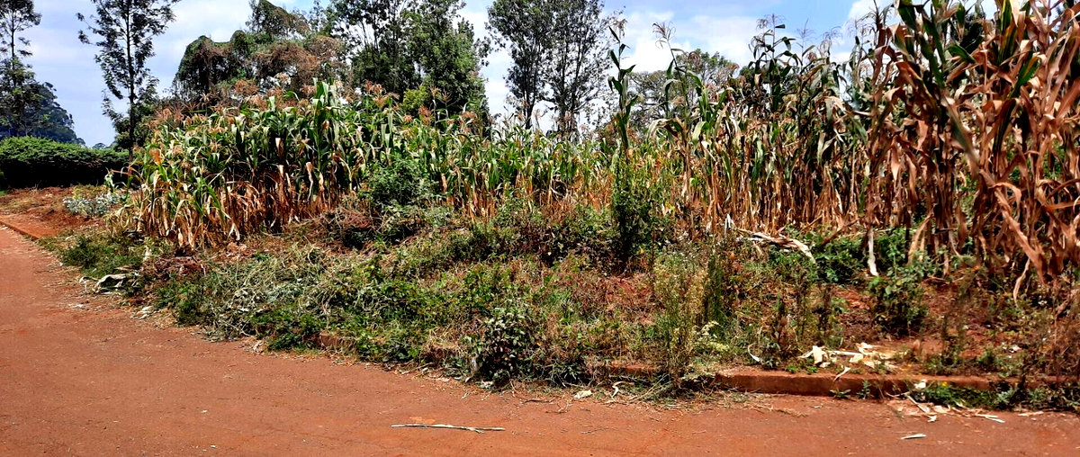Half Acre Plot at KSh 35M