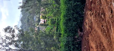 Prime 1/8 Acre Ololua at 4.4m - Image 9