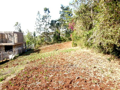 Prime 1/8 Acre Ololua at 4.4m - Image 3