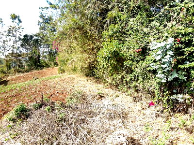 Prime 1/8 Acre Ololua at 4.4m - Image 7