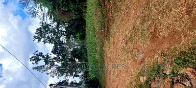 Prime 1/8 Acre Ololua at 4.4m - Image 8