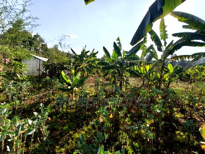 Residential Quarter Acre Plot in Kerarapon Drive, Ngong. Red Soil. - Image 3