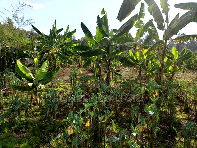 Residential Quarter Acre Plot in Kerarapon Drive, Ngong. Red Soil. - Image 4