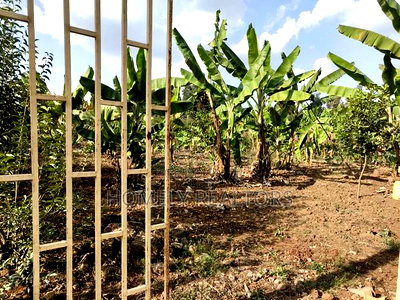 Residential Quarter Acre Plot in Kerarapon Drive, Ngong. Red Soil. - Image 2
