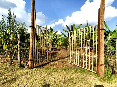 Residential Quarter Acre Plot in Kerarapon Drive, Ngong. Red Soil. - Image 1