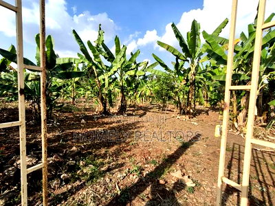 Residential Quarter Acre Plot in Kerarapon Drive, Ngong. Red Soil. - Image 6