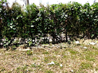 5bdrm House in Ngong for sale - Image 7