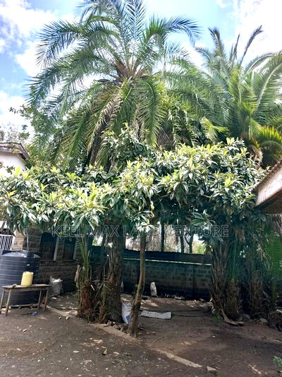 5bdrm House in Ngong for sale - Image 8