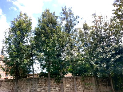 5bdrm House in Ngong for sale - Image 5