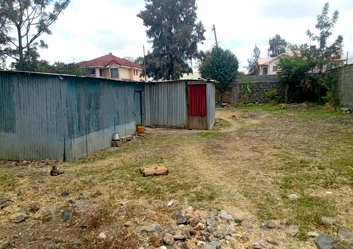 1.2 Acres Pet Friendly Plot