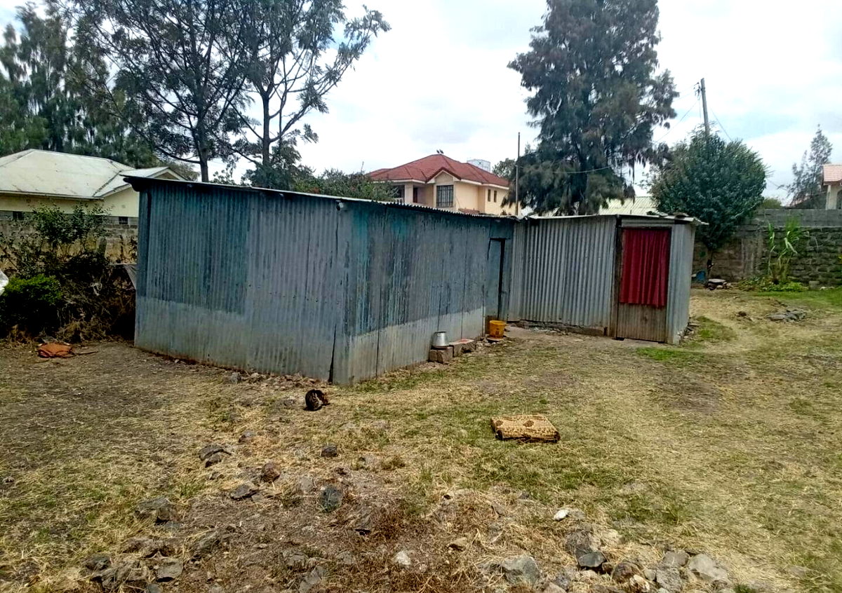 1.2 Acres Pet Friendly Plot
