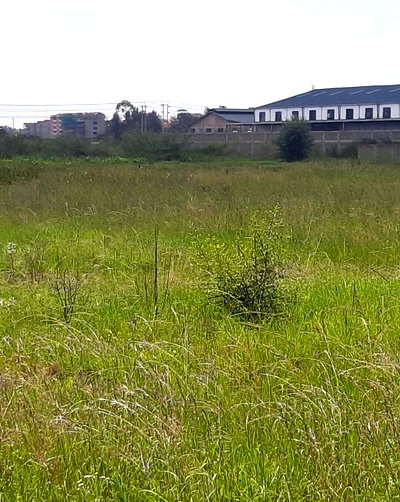 5-Acre Industrial Plot with Garden