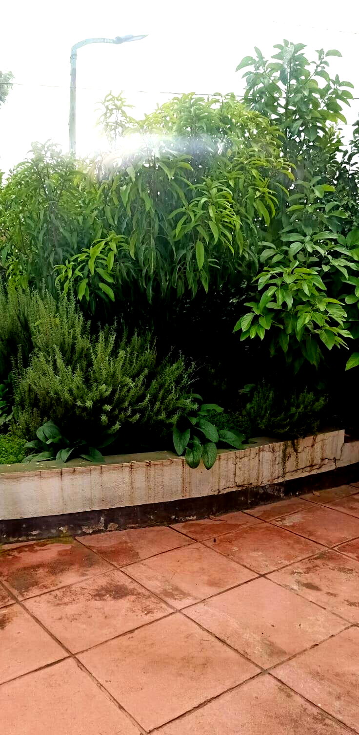 3BR Bungalow Townhouse in BuruBuru Phase 4 - Ready to Move In