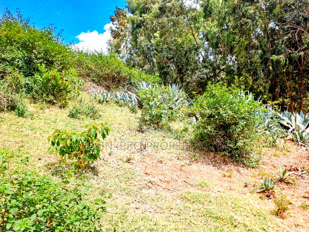 Prime Residential Plot for Sale Near the Southern Bypass.
